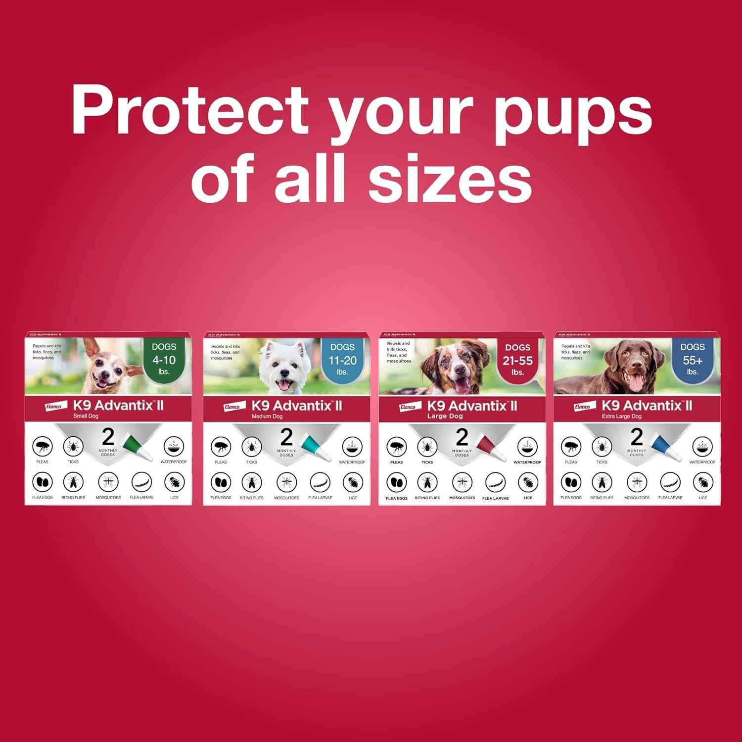 K9 Advantix II Medium Dog Vet-Recommended Flea, Tick & Mosquito Treatment & Prevention | Dogs 11-20 lbs. | 6-Mo Supply