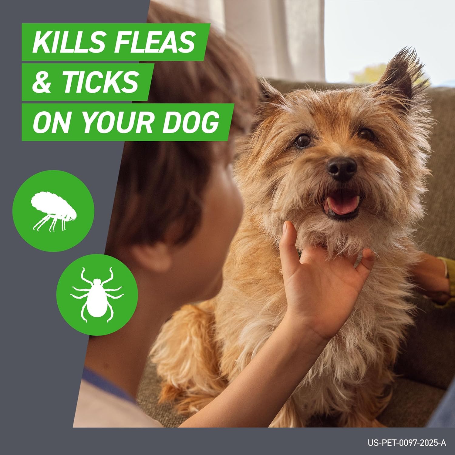FRONTLINE Plus for Small Dogs Flea & Tick Spot Treatment (5-22 lbs) - Count of 6, Orange