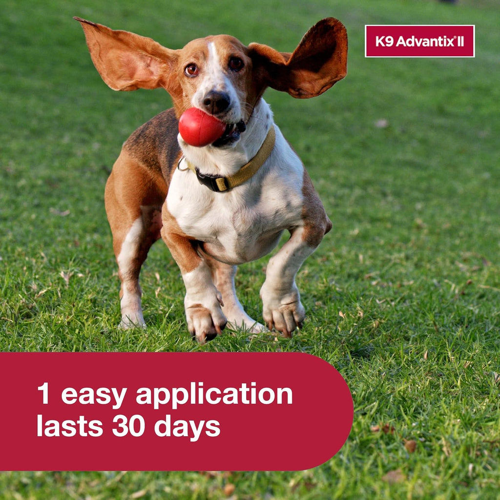 K9 Advantix II Large Dog Flea Treatment & Prevention for Dogs 21-55 lbs | 6-Mo Supply