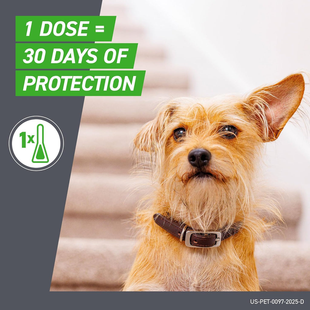 Frontline Plus for Large Dogs 45 to 88 Pounds Flea and Tick Treatment, 6 Doses