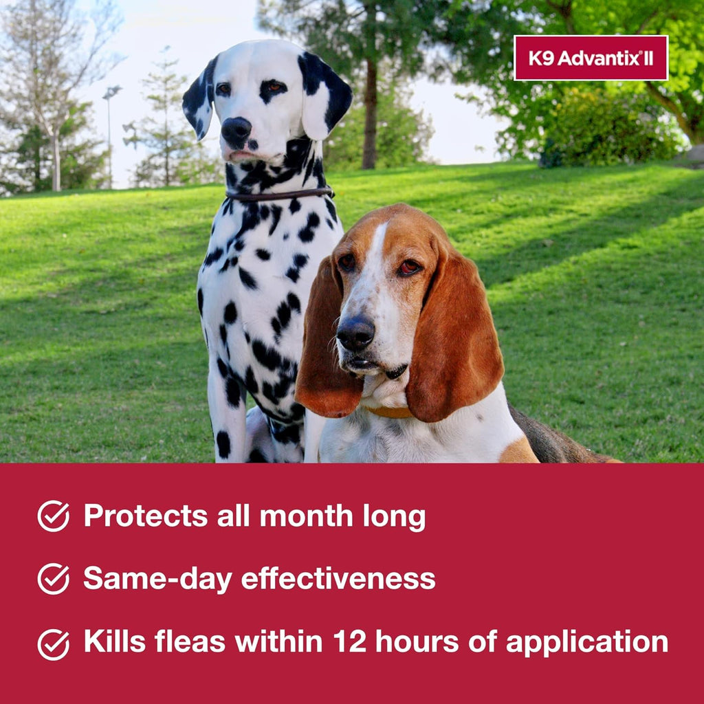 K9 Advantix II Large Dog Flea Treatment & Prevention for Dogs 21-55 lbs | 6-Mo Supply