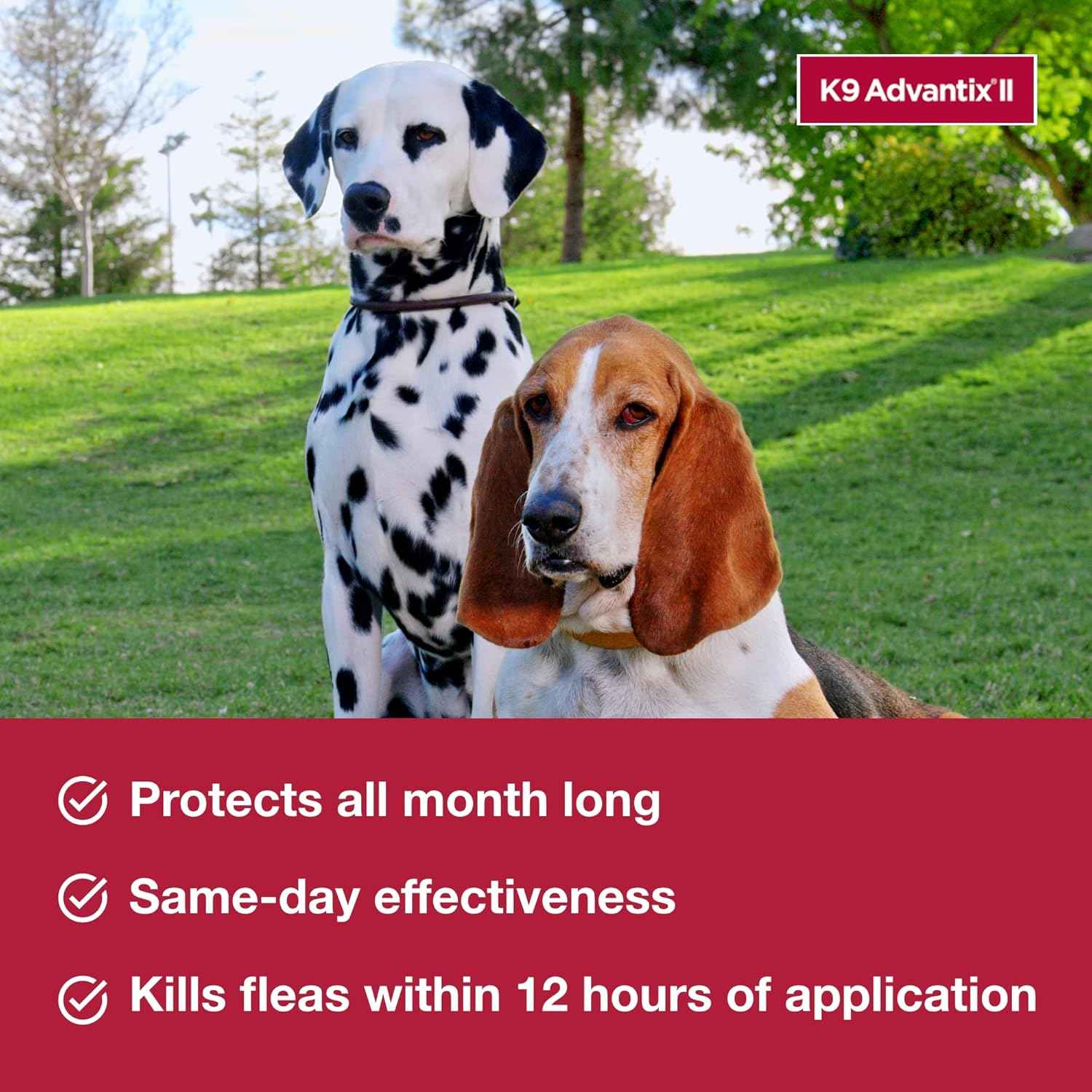 K9 Advantix II Medium Dog Flea Treatment & Prevention | Vet-Recommended for Dogs 11-20 lbs | 6-Mo Supply - Punch Bazar